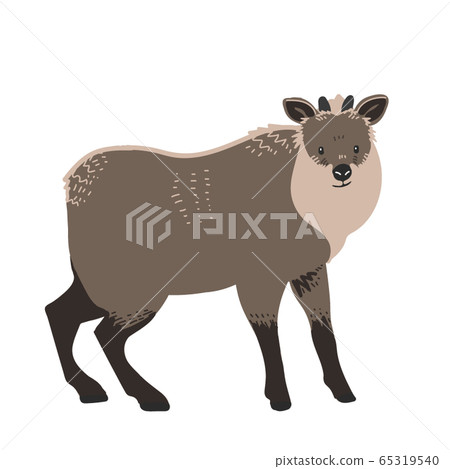 Antelope 65319540