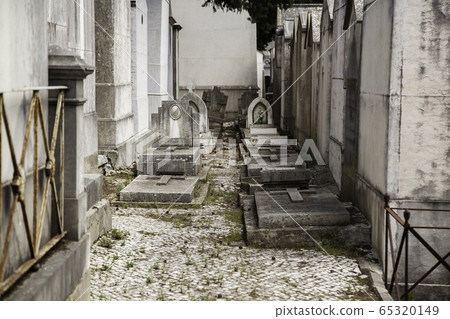 Cemetery with tombs Cemetery with tombs 65320149