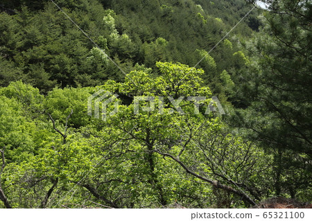 Gyeongnam, Hapcheon, Hwangmaesan Gyeongnam, Hapcheon, Hwangmaesan 65321100