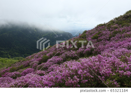 Gyeongnam, Hapcheon, Hwangmaesan Gyeongnam, Hapcheon, Hwangmaesan 65321184