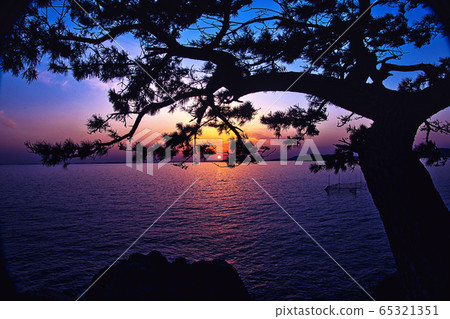 Sunset over the sea with pine trees in the shadow Sunset over the sea with pine trees in the shadow 65321351