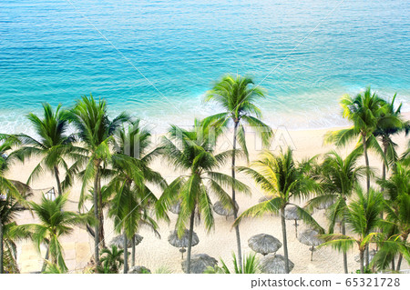 Palm trees, ocean waves and beach, Acapulco, Palm trees, ocean waves and beach, Acapulco, 65321728