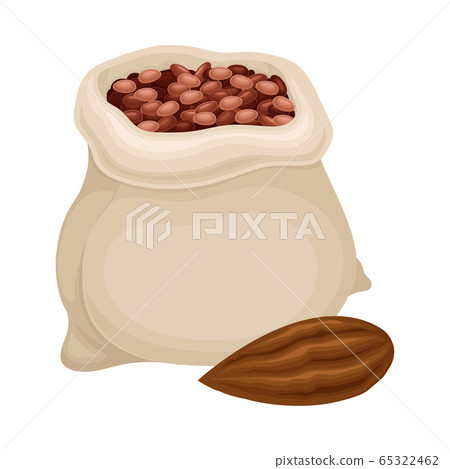 Cocoa Beans Poured in Sack as Aromatic Chocolate Ingredient Vector Illustration Cocoa Beans Poured in Sack as Aromatic Chocolate Ingredient Vector Illustration 65322462