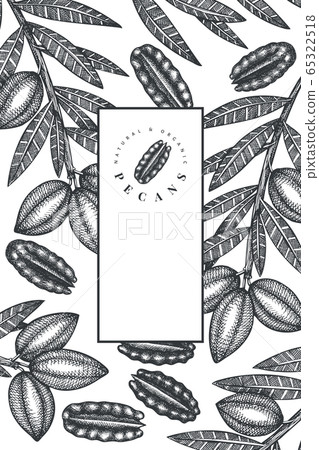 Hand drawn pecan branch and kernels design Hand drawn pecan branch and kernels design 65322518