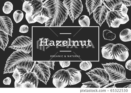 Hand drawn sketch hazelnut design template. 65322530