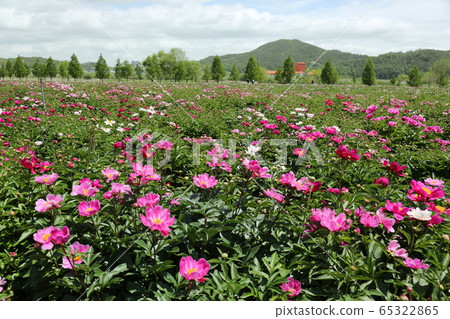 八田郡慶南，哈德生態公園 65322865