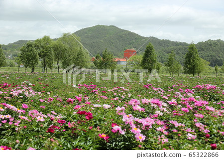 八田郡慶南，哈德生態公園 65322866