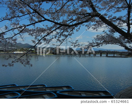 日本河流景觀:京都嵐山渡月橋和大井川 日本河流景觀:京都嵐山渡月橋和大井川 65324661