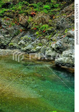 三鷹谷的小月河 65324774