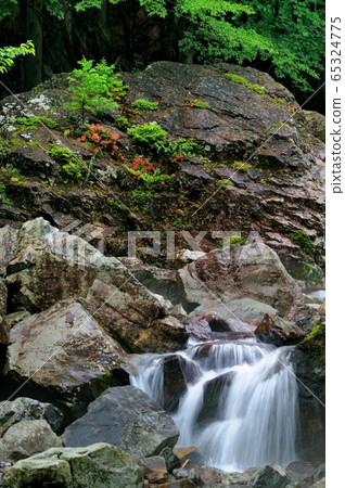 三鷹谷的小月河 三鷹谷的小月河 65324775