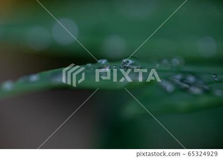 A drop A drop 65324929