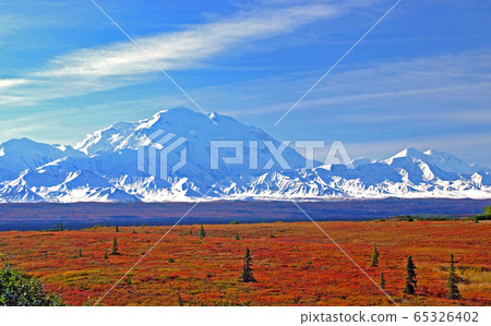 Autumn in Denali (McKinley) 65326402