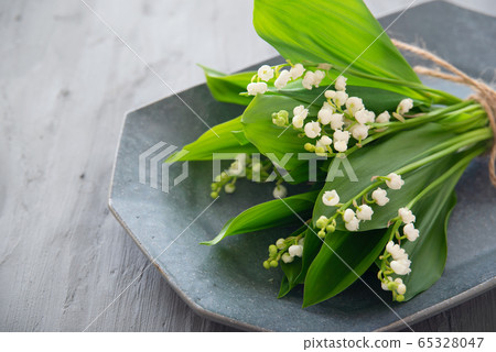 Suzuran的花束 照片素材 圖片 圖庫