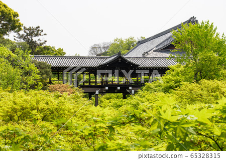 京都東福寺通天橋被新鮮的綠色植物包圍 65328315