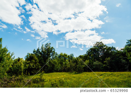 forest green blue sky and clouds its beautiful forest green blue sky and clouds its beautiful 65329998