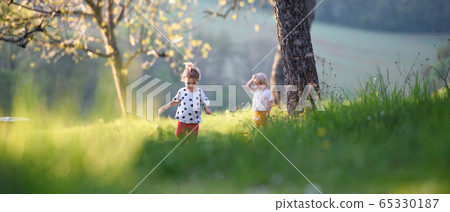 Small children boy and girl playing outdoors in spring nature. Small children boy and girl playing outdoors in spring nature. 65330187