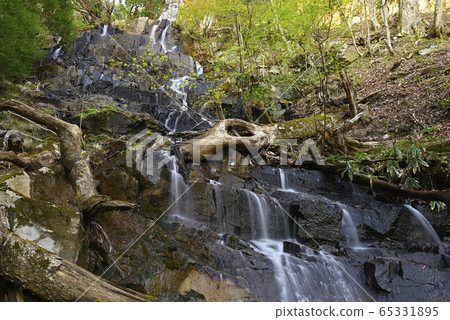White Dragon Falls (Shishiwa City, Hyogo Prefecture) White Dragon Falls (Shishiwa City, Hyogo Prefecture) 65331895