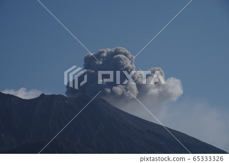 櫻島羽 櫻島羽 65333326