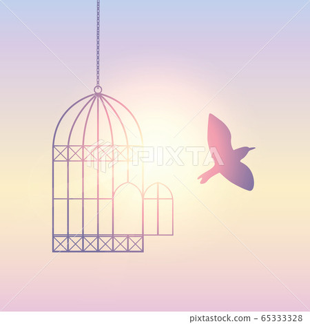 bird flies out of the cage into the sunny sky bird flies out of the cage into the sunny sky 65333328