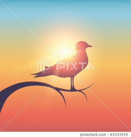 wildlife gull bird in sunny colorful sky wildlife gull bird in sunny colorful sky 65333334