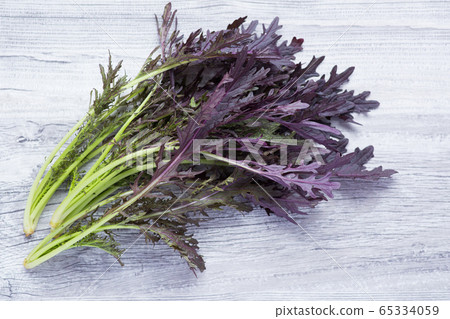 Purple mustard Purple mustard 65334059