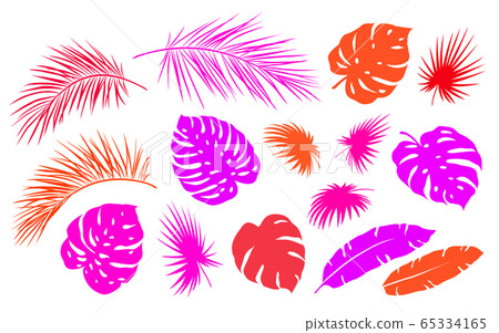 colorful tropical palm leaves branches set icons colorful tropical palm leaves branches set icons 65334165