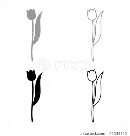 Flower tulip plant silhouette icon outline set Flower tulip plant silhouette icon outline set 65334533