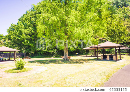 Barbecue place 65335155