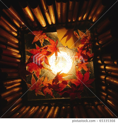 [秋季圖片]夜間花園照明和秋葉裝飾 65335308