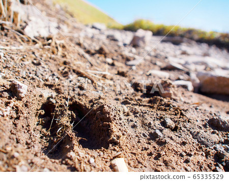Footsteps of wild deer remaining on the mountain path after the rain 65335529