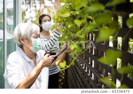 Asian elderly woman is pruning branches in the garden at home,senior mother and daughter are doing tree planting activities during the pandemic of Covid-19,Coronavirus,social distance by stay home Asian elderly woman is pruning branches in the garden at home,senior mother and daughter are doing tree planting activities during the pandemic of Covid-19,Coronavirus,social distance by stay home 65336475
