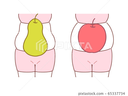 Subcutaneous fat Visceral fat - Stock Illustration [65337734] - PIXTA