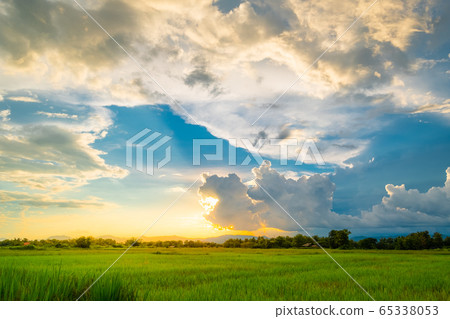 HDR of white clouds with rice fields in the blue HDR of white clouds with rice fields in the blue 65338053