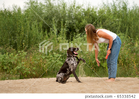 Walk with the dog Walk with the dog 65338542