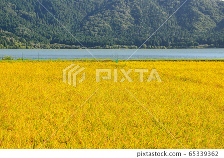 Lake Yogo in Shiga Prefecture 65339362