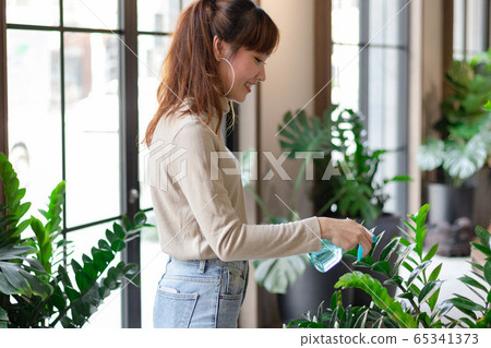 Young Asian woman water plant in room. Botanist shop owner happy smiling working success in business Young Asian woman water plant in room. Botanist shop owner happy smiling working success in business 65341373