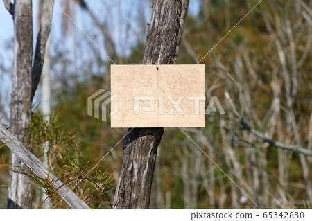 Blank sign in a forest, add your own text Blank sign in a forest, add your own text 65342830