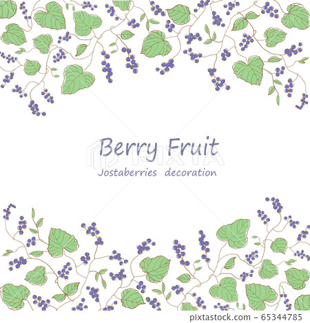 Josta berry frame 65344785