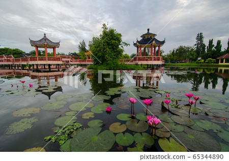 Melati Lake with foreground lotus flower. 65344890