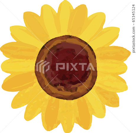Sunflower summer flower watercolor analog touch Sunflower summer flower watercolor analog touch 65345124
