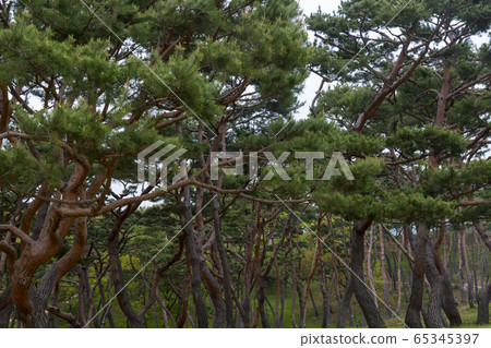 Haemi-eupseong Haemi-eupseong 65345397