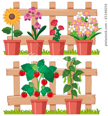 Beautiful flowers in the garden on white 65346058