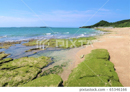 Okinawa Sea Okinawa Sea 65346166