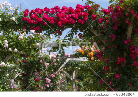 Kawazu Bagatelle Park 65348804