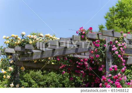 Kawazu Bagatelle Park Kawazu Bagatelle Park 65348812