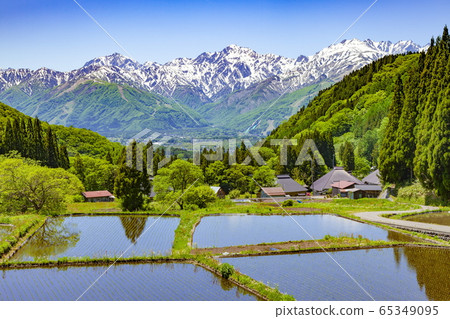 長野縣白馬村的青木水稻梯田和北阿爾卑斯山 65349095