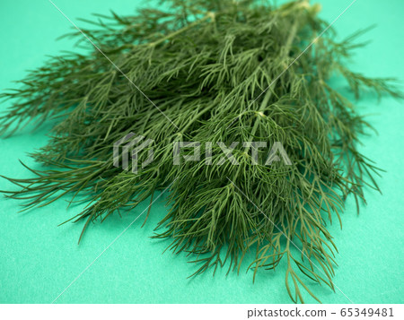 Herb Dill Herb Dill 65349481