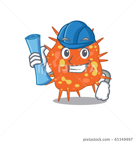 Cartoon character of burkholderia mallei brainy Architect with blue prints and blue helmet Cartoon character of burkholderia mallei brainy Architect with blue prints and blue helmet 65349997