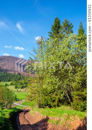 beautiful nature mountain scenery. path through 65350931