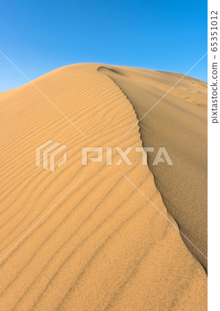 鳥取縣鳥取沙丘豐滿Aozora 鳥取縣鳥取沙丘豐滿Aozora 65351012